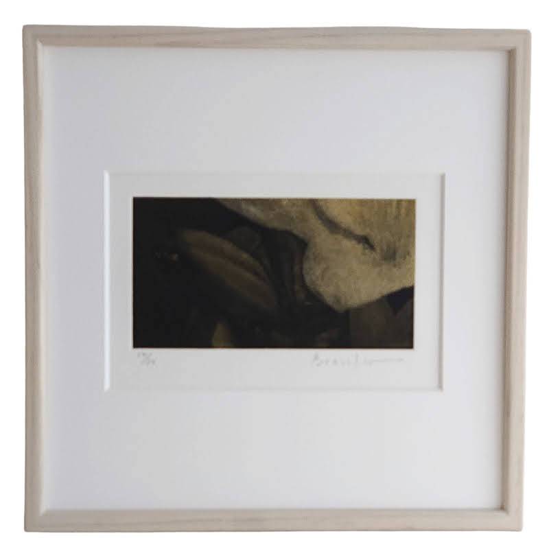 Afternoon #3 (花と蕾)