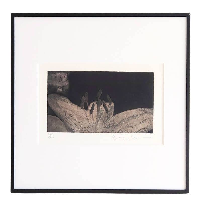 Afternoon #1 (朱鷺色の花が開く)